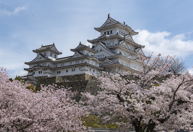 A picture of Japan's History & Past.