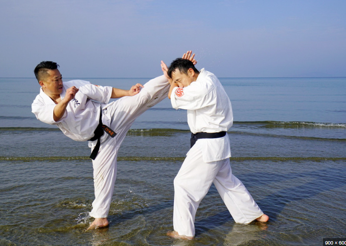 A picture of Japan's Martial Arts & Sports.